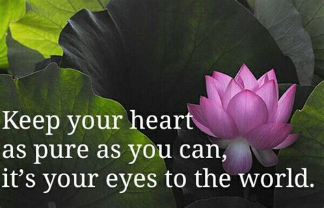 Keep Your Heart As Pure As You Can Its Your Eyes To The World