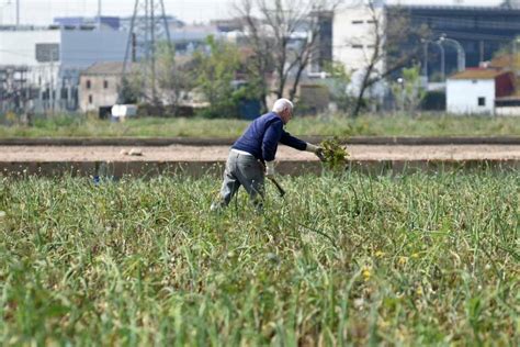 Hacienda Aprueba Una Rebaja De Los M Dulos De Irpf De Para