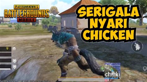 Serigala Nyari Chicken PUBG MOBILE YouTube