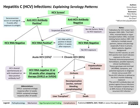 Hepatitis C (HCV) Infections: Explaining Serology Patterns | Calgary Guide