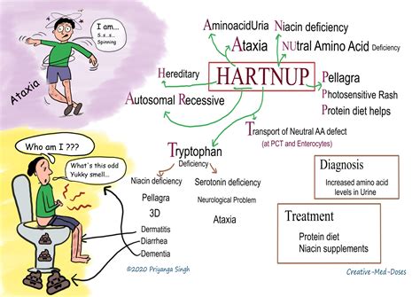 hartnup s disease Hartnup disease rash keto pellagra syndrome symptoms