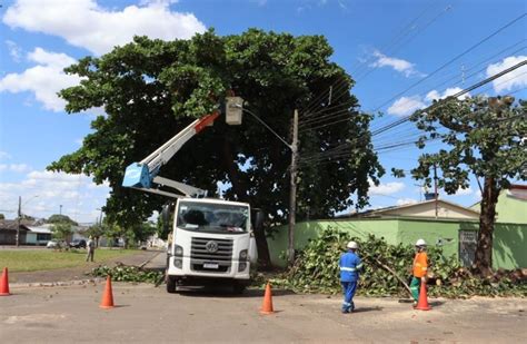 Poda de árvores em áreas privadas já pode ser feita pela Prefeitura de