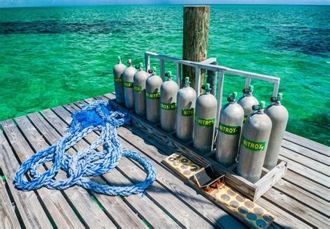 The benefits of nitrox scuba diving: Will it help or hurt your dives ...