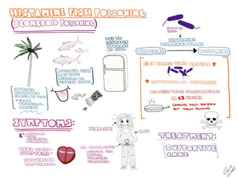 Clinical Illustrations | themedicallyinclined