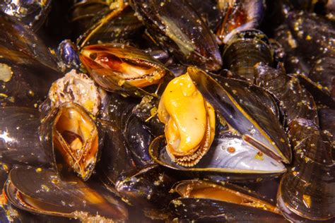 Velout De Moules Au Safran Les Gourmantissimes