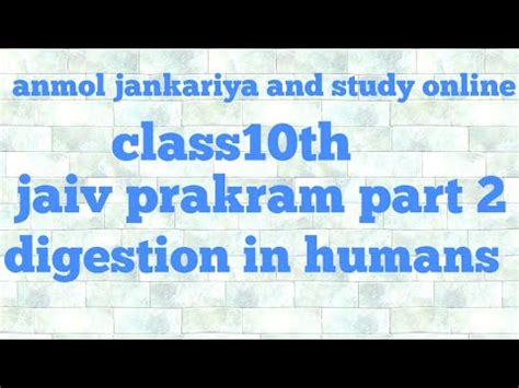 Class 10th Jaiv Prakram Chapter 6 YouTube