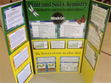 Display Board - Milwee Science Fair