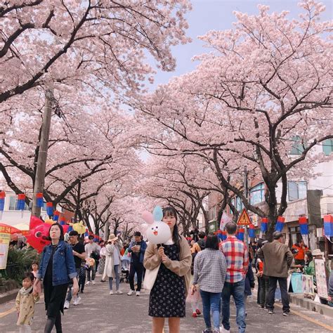 韓國「櫻花慶典」懶人包～3、4月櫻花季旅遊絕對不能錯過！ Beauty美人圈