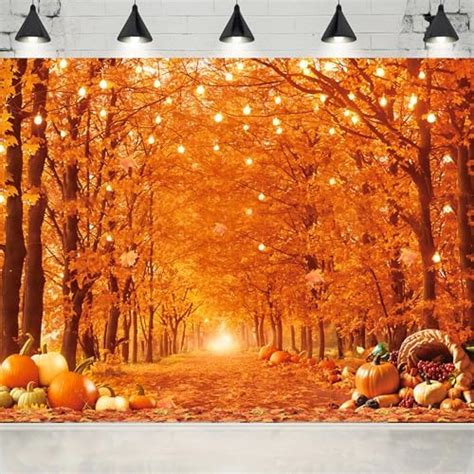 Amazon Thanksgiving Backdrop Fall Photography Backdrop X Ft