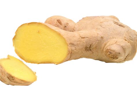 Ginger Root Zingiber Officinale Ginger Root Extract Bio Botanica