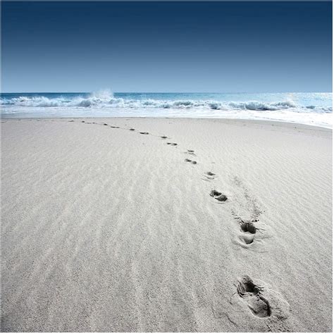 Footprints In The Sand Wallpapers - Top Free Footprints In The Sand ...