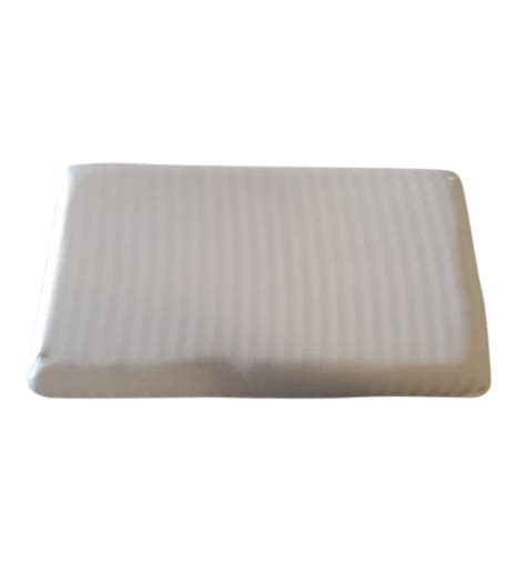 Buy May Orthopedic 6 Inch Memory And Hr Foam Queen Size Mattress By