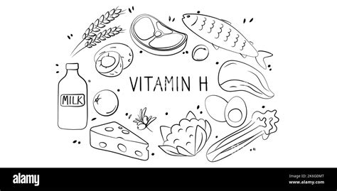 Vitamin H Biotin Groups Of Healthy Products Containing Vitamins Set