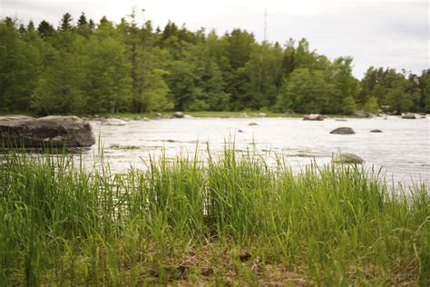 RVO koulutus Haluaisitko sinäkin olla Rakentavan vuorovaikutuksen