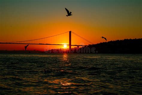 Puente De Bosphorus Silueta De Estambul Y Gaviotas Al Atardecer Foto