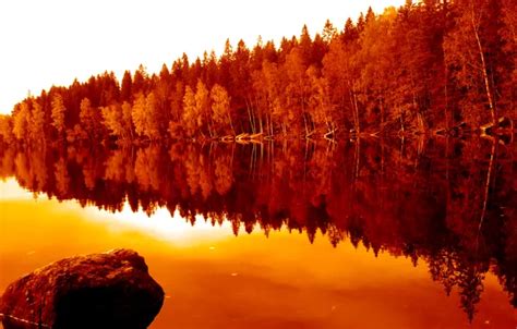 Wallpaper autumn, forest, reflection, trees, nature, river, forest, river, trees, nature, water ...