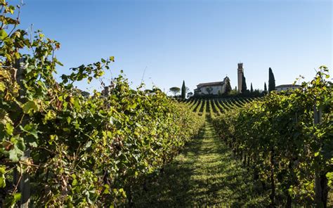 The Ultimate Guide to the Veneto Wine Region - Italian Wine Tales