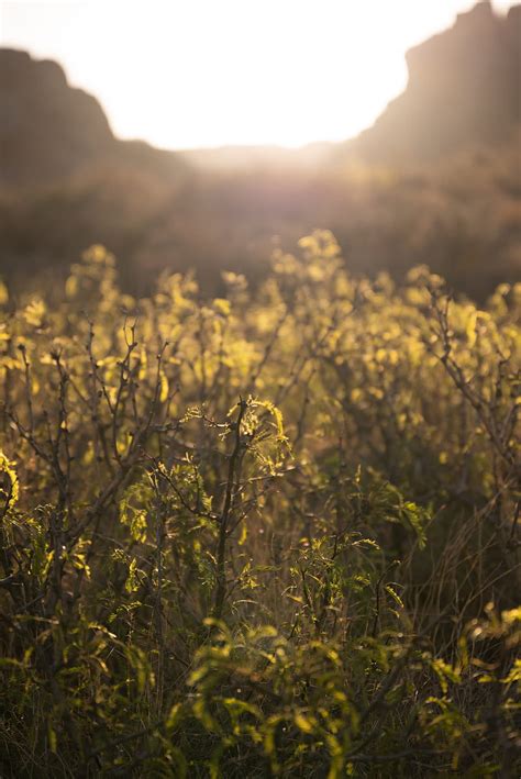 Landscape Sunrise HD Phone Wallpaper Peakpx