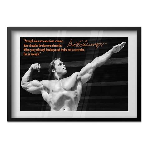 Arnold Schwarzenegger Poster Bodybuilding Online Shopping | www ...