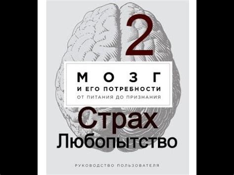 Мозг и любопытство. Мозг и Страх. Часть 2 книги: "Мозг и его ...