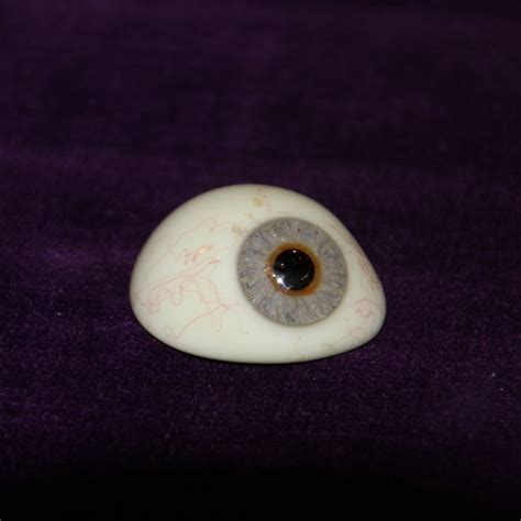 Vintage Glass Eye Vintage Prosthetic Human Glass Eyes Etsy Australia