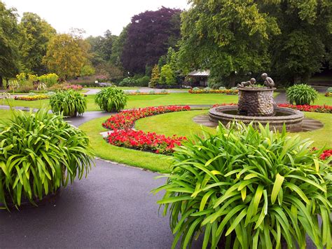 Flower Garden Trees