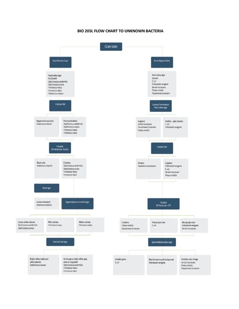 L Week Flow Chart Key Bio L Flow Chart To Unknown