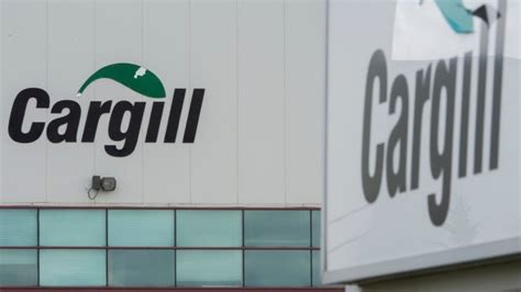 Cargill announces $350M canola processing facility in Regina | CBC News