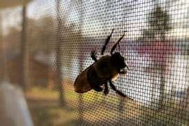 Fiberglass Mesh Screen For Extra Strength Keep Out Bugs Out