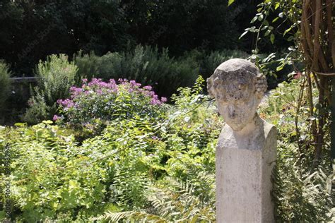 Jardin botanique Stock Photo | Adobe Stock