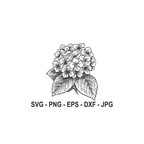 Hydrangea Flower Svg Hydrangea Silhouette Instant Download S Inspire