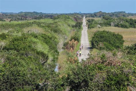 Florida Everglades: Your Guide to Everglades Airbout Tours