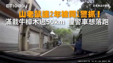 山老鼠連2年被同1警抓！滿載牛樟木逃50km 撞警車想落跑 Youtube