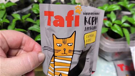 Удобные, многоразовые, бесплатные стаканчики для рассады - YouTube