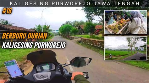 Berburu Durian Kaligesing Purworejo Jawa Tengah Motovlog 16 YouTube