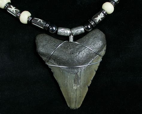 Megalodon Tooth Necklace - 2.25" For Sale (#6365) - FossilEra.com