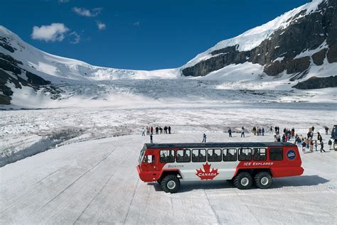 Icefields Parkway Gletscher Gipfel G Nsehaut Ski Kanada