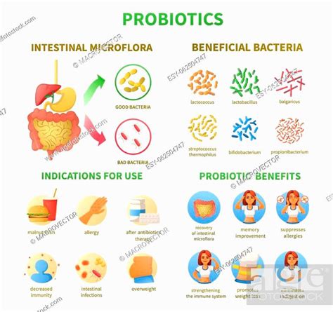 Probiotics Infographics Cartoon Set With Round Categorized Icons For