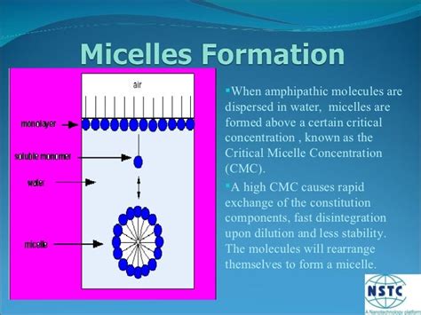 Polymeric Micelles and Their Applications