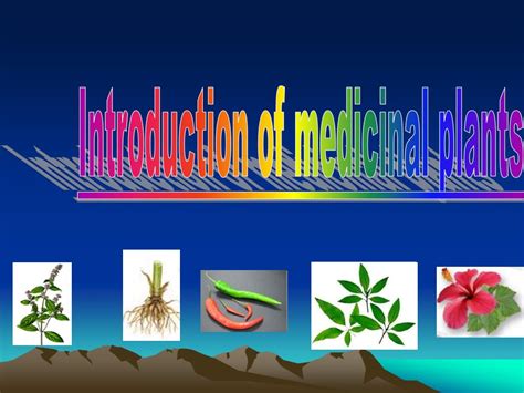 Ppt Introduction Of Medicinal Plants Powerpoint Presentation Free