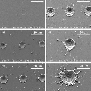 A Crater Depth Vs Laser Fluence B Crater Diameter And Rim Height