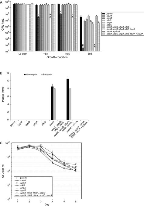 Figure S5 Tolerance Of Y Pseudotuberculosis Ppiase Mutants To Download Scientific Diagram