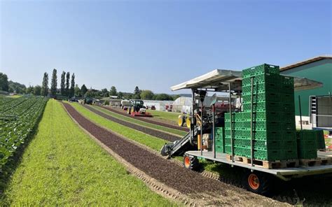 Tage der offenen Tür Gemüse Käser 27 28 Mai 2023 Trachtengruppe