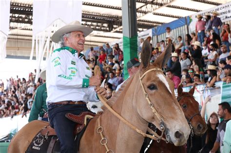 MULTIDÃO REVERENCIA DESFILE DE CARREIROS CAVALEIROS E MULADEIROS