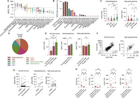 GPC2 Is Expressed In Pediatric Brain Tumors A GPC2 RNA Sequencing