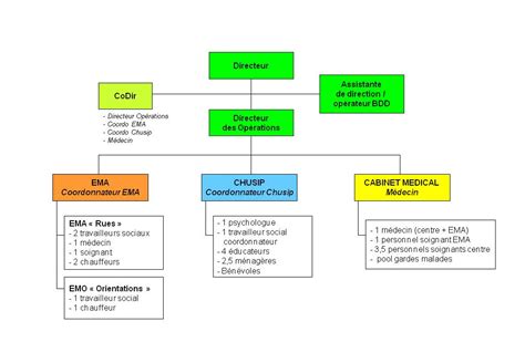 Organigramme Samu Social S N Gal