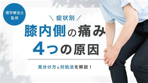 【膝の内側の痛み】4つの原因の見分け方と対処法・ストレッチをわかりやすく解説