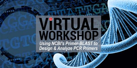 Using NCBI's Primer-BLAST to design and analyze PCR primers - NCBI Insights