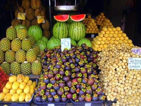 Davao Fruits Magsaysay RealBreeze Davao Tour Packages