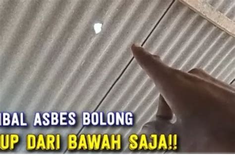 Ide Kreatif Tidak Perlu Naik Ke Atas Atap Cara Mudah Menambal Asbes